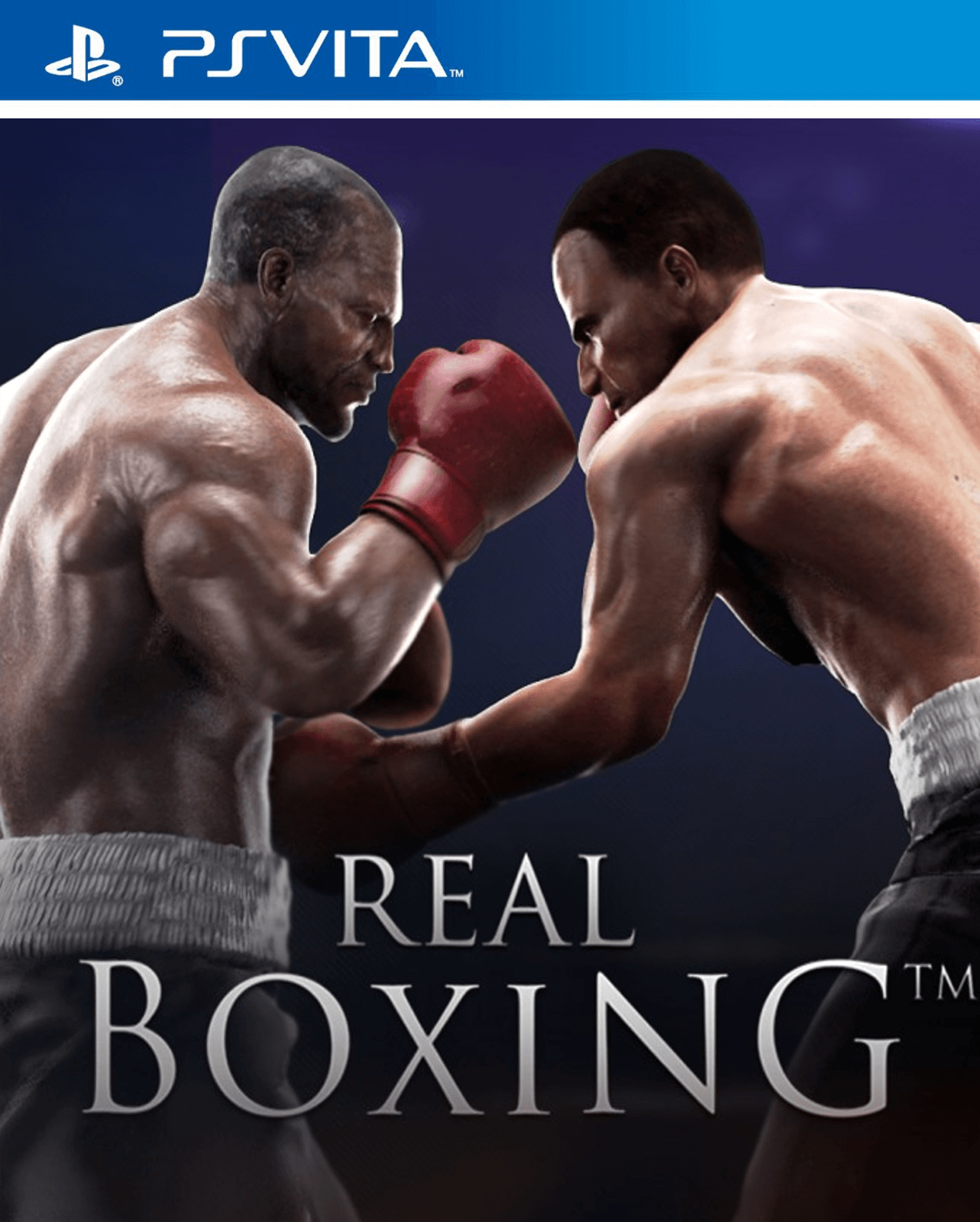 Real Boxing