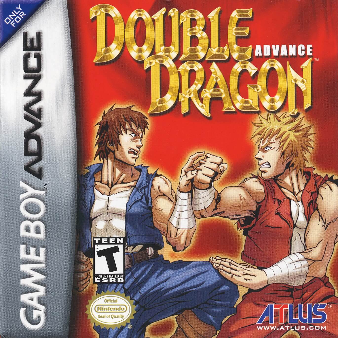 double dragon advance