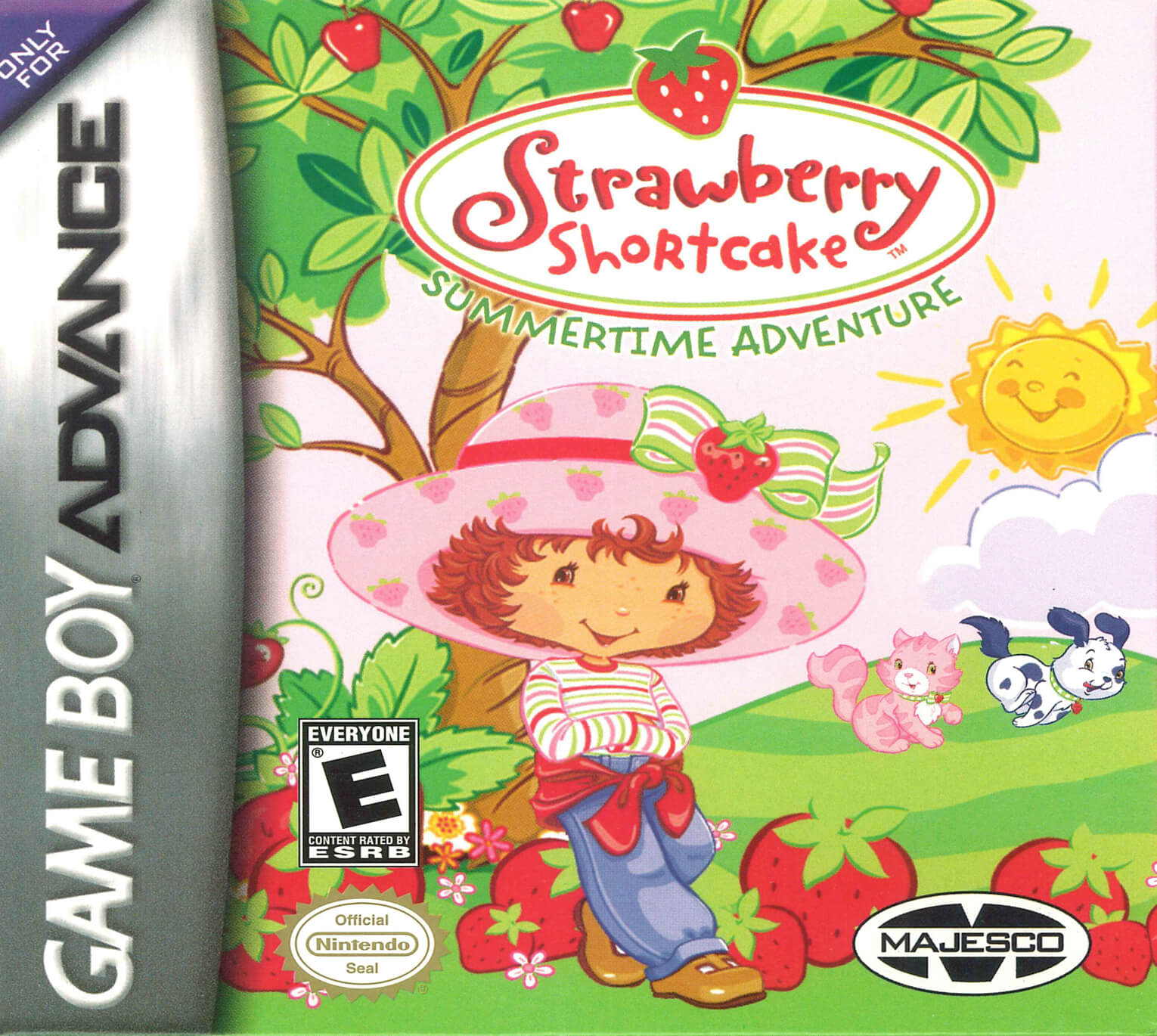 strawberry shortcake: summertime adventure