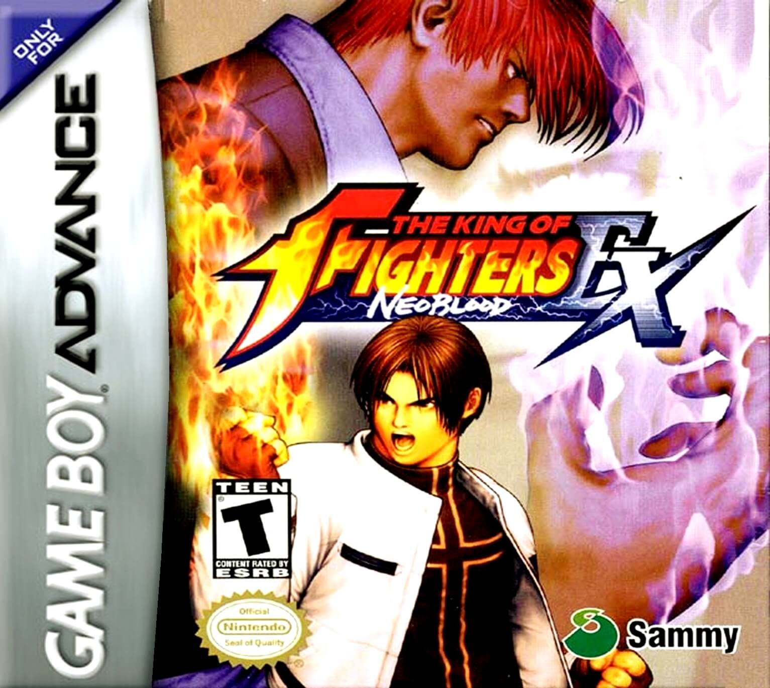 The King of Fighters EX: Neo Blood