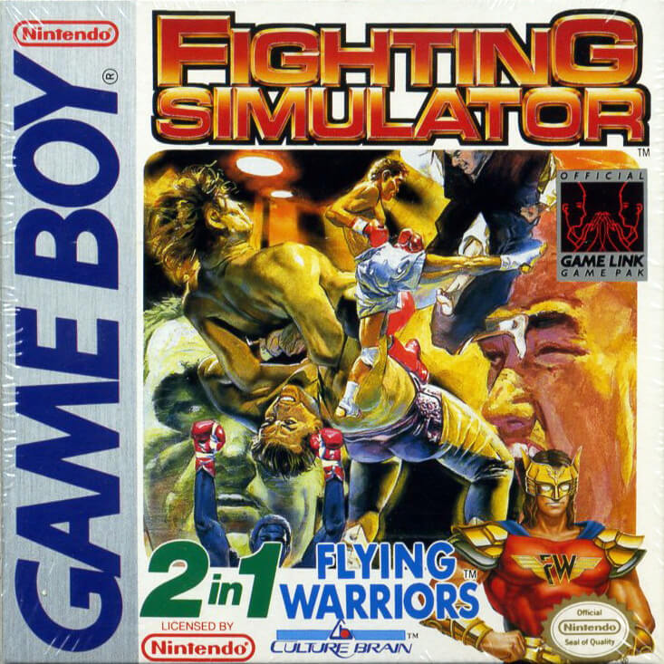 fighting simulator: 2-in-1 flying warriors