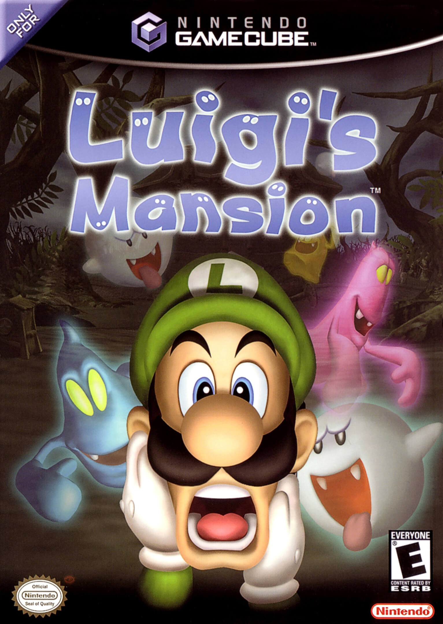 luigi’s mansion