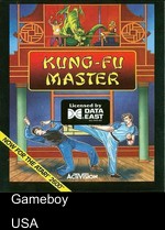 kung-fu master