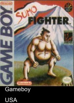 Sumo Fighter