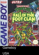 teenage mutant ninja turtles - fall of the foot clan