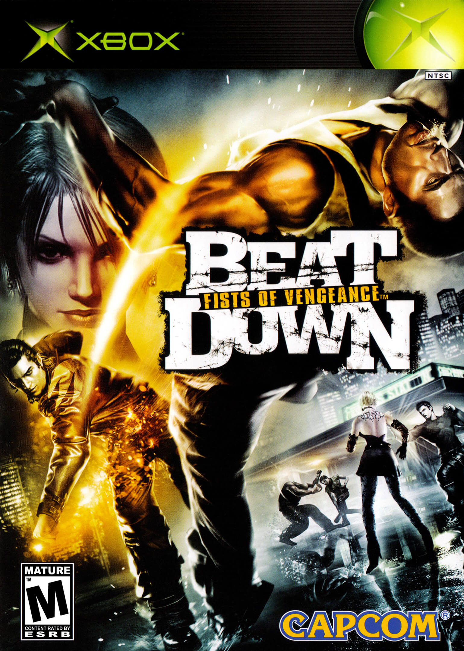 Beat Down: Fists of Vengeance