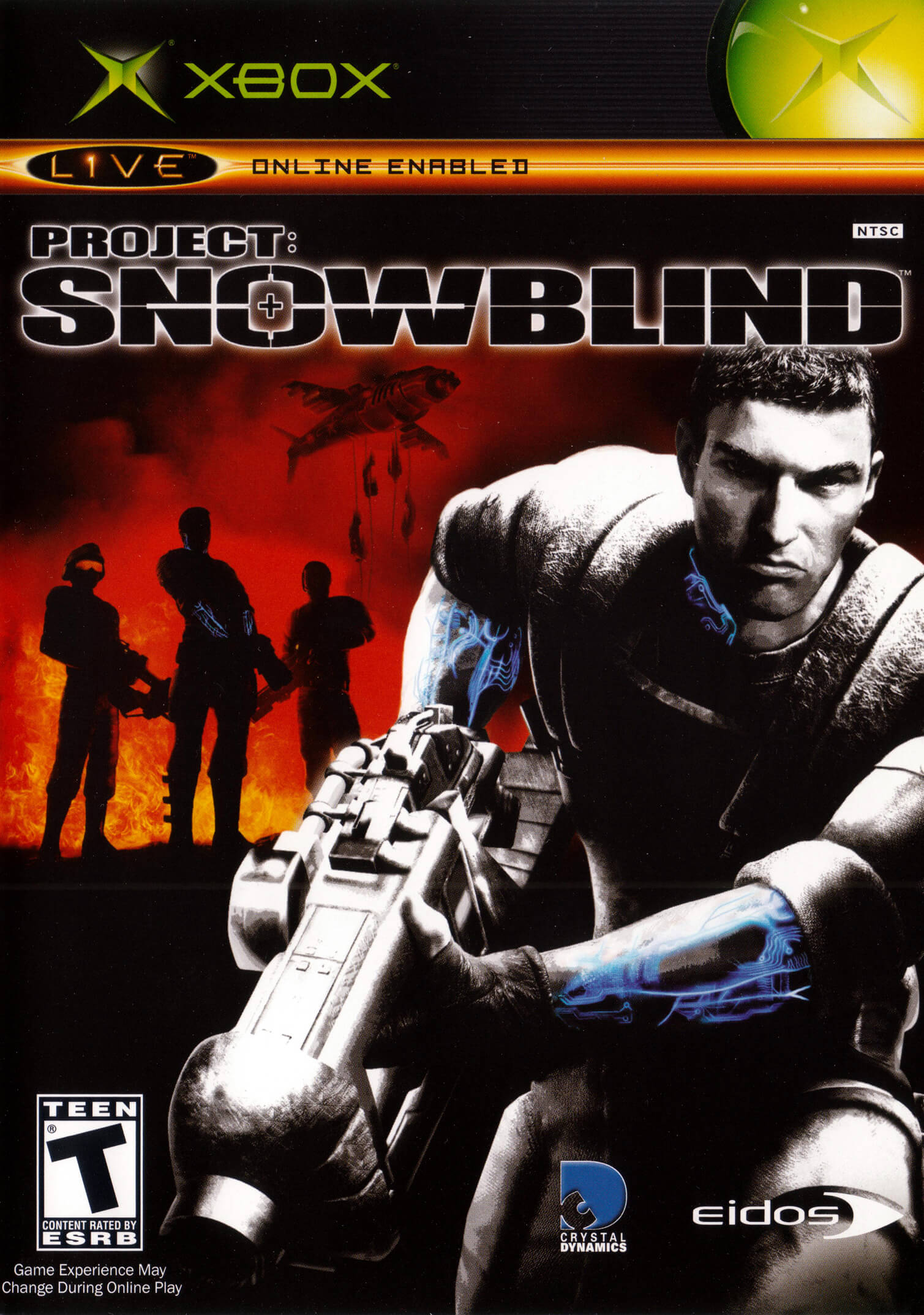 Project: Snowblind