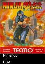 Ninja Gaiden