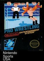 Pro Wrestling