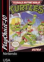 Teenage Mutant Ninja Turtles (PC10)