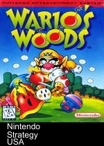 wario's woods