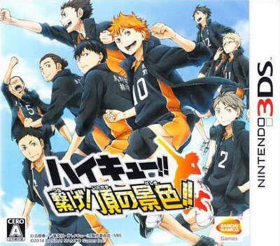 haikyu!! tsunage! itadaki no keshiki!!