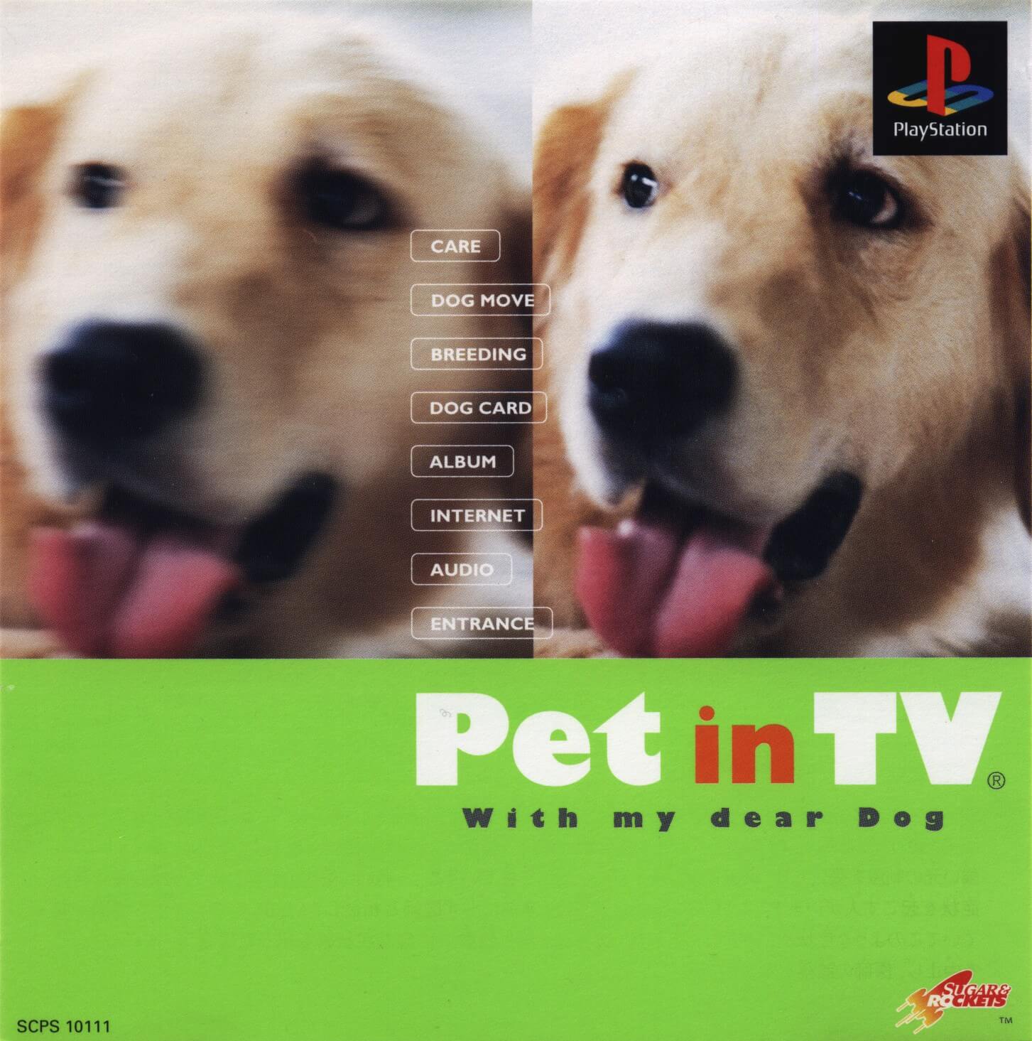 pet in tv: with my dear dog