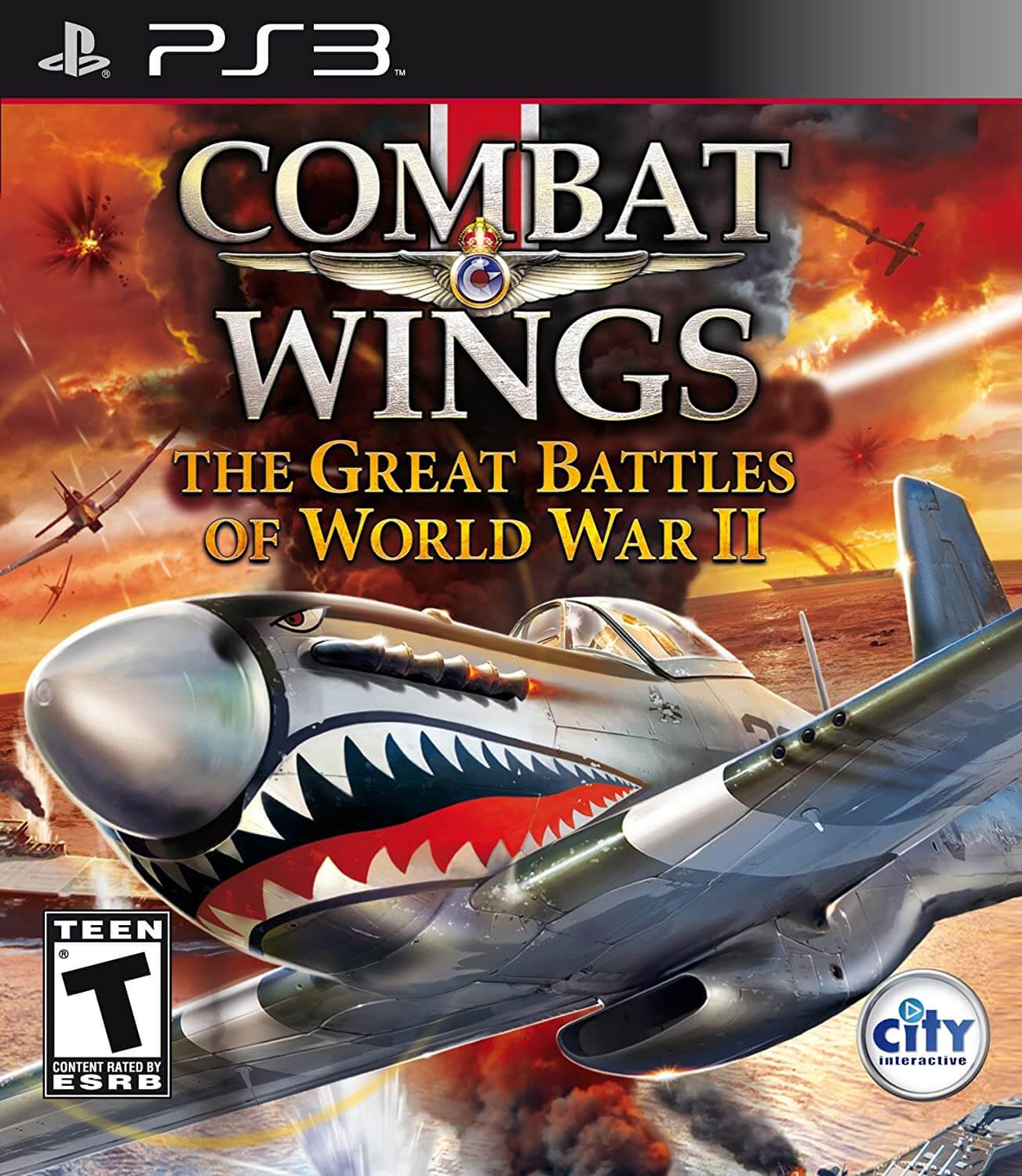 Combat Wings The Great Battles of World War II