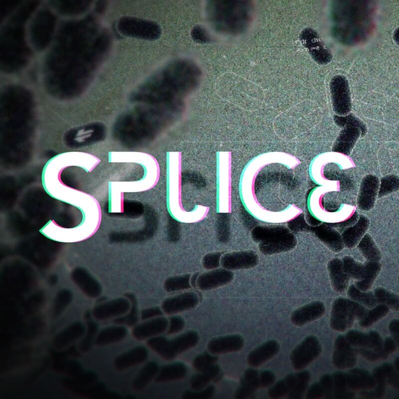 splice