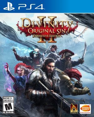 divinity: original sin 2 – definitive edition