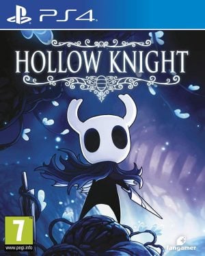 hollow knight