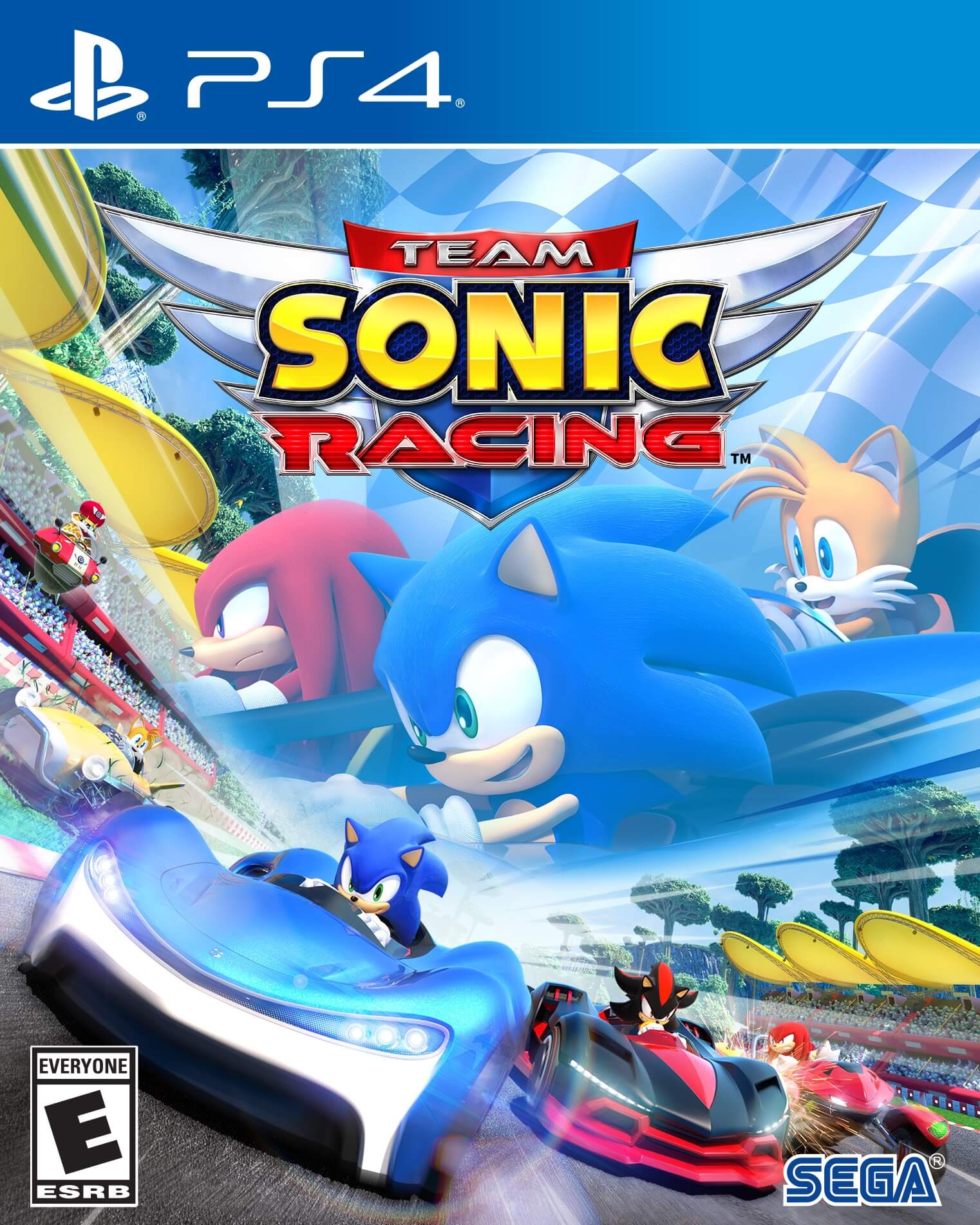 team sonic racing