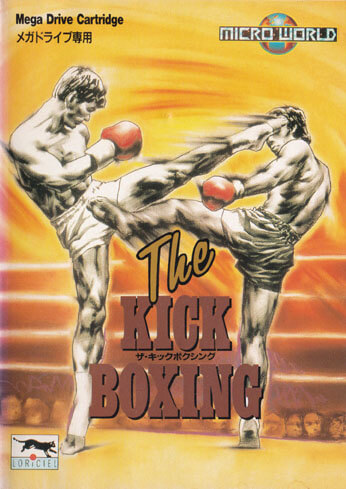 the kick boxing