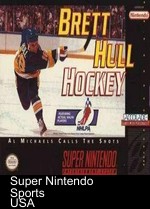 Brett Hull Hockey