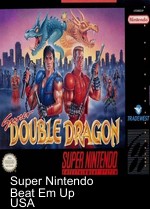 super double dragon