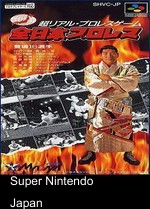 Zen Nihon Pro Wrestling