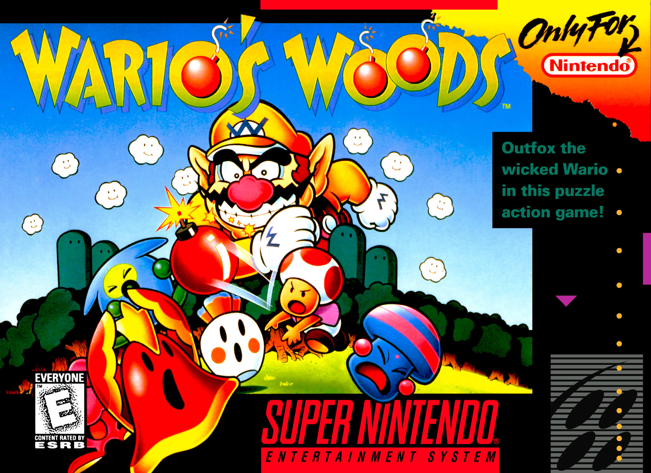 Wario's Woods